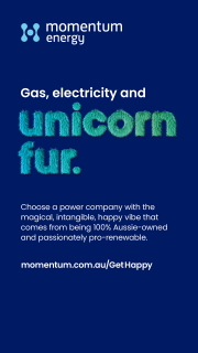 Momentum Energy: Get happy