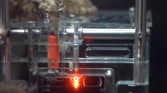 Sony Cyber-shot TX30: Sony Octographer