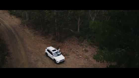 Toyota RAV4: Stop Less