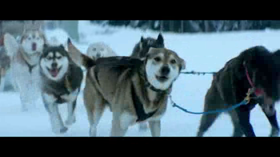 FIAT 500X: Dogsled