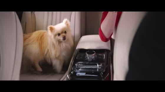 Genesis: Driver Versus Dog