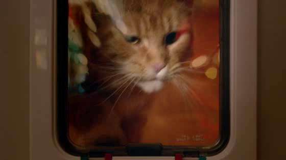 Temptations All Natural Cat Treats: 