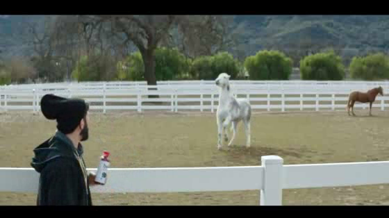 Bai: Horse Whisperer