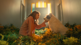 Pedigree: Dream Maker
