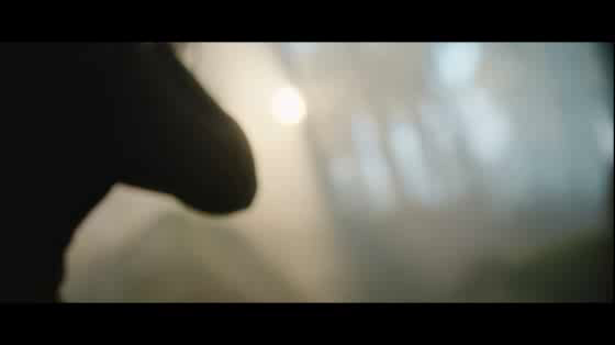 Vodafone 5G: Reimagine Everything
