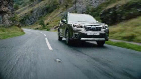 Subaru Forester: Flashback
