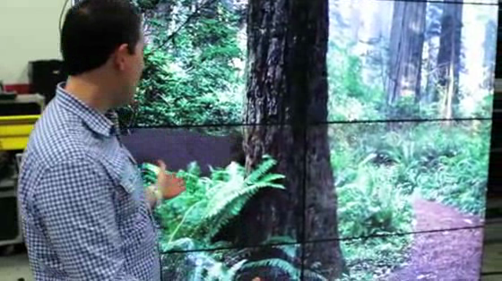 TD Bank: Interactive video wall