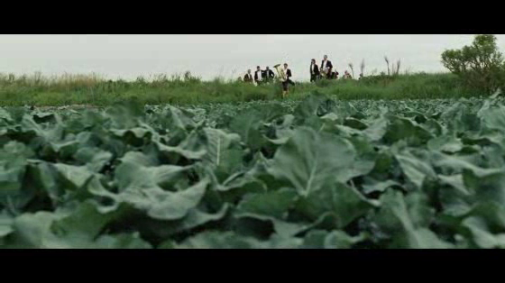 Lidl: The Organic Orchestra