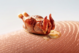 Tecnoquímicas: Microfood / Chicken