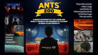 MultiOpticas: Ants' Zoo