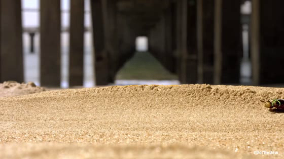 Mountain Dew: Sand Beetle