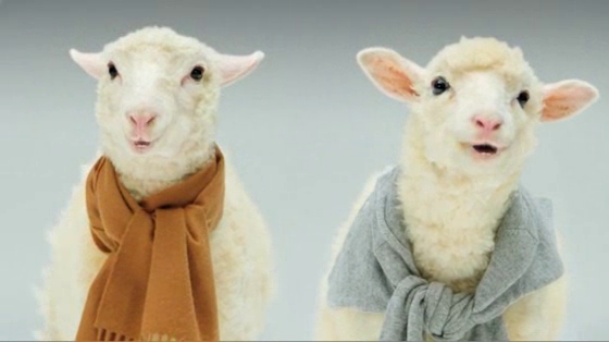 Brooks Brothers: Holiday Miracle