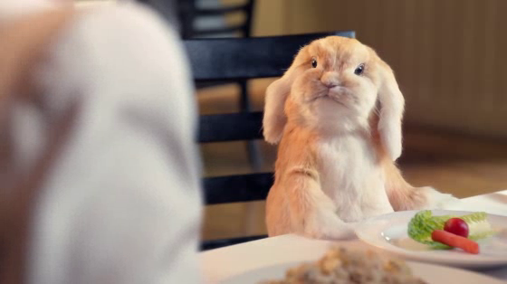 Atkins: Bunny