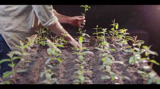 Charles Sturt University: Getting Hands On, It’s What We Do.