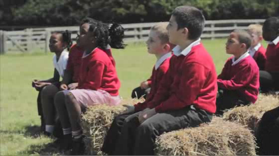 Farming & Countryside Education: F.A.C.E.  Bill Bailey