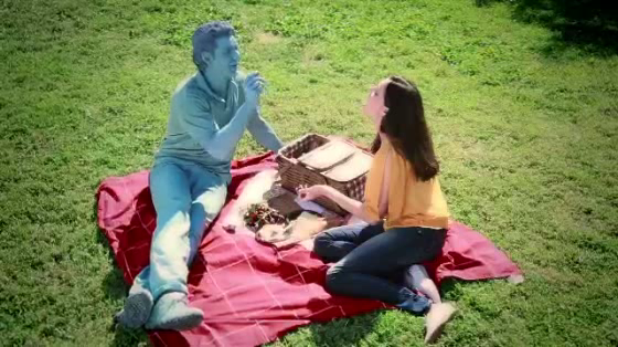 Ace Hardware: Picnic
