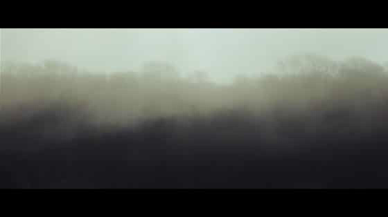 Climate Coalition: Love Song