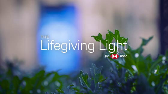 HSBC: Lifegiving Light