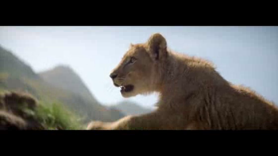 Perrier Fines Bulles: The Lion