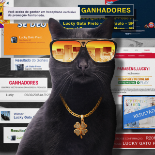 NGO: Lucky Black Cat