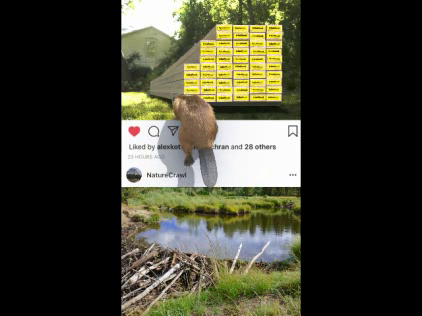 YellaWood: Instagram Theft