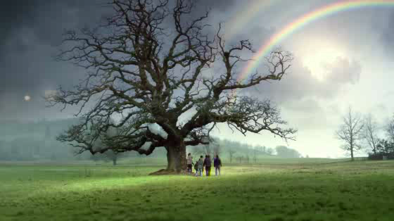 Sainsbury's: Rainbow