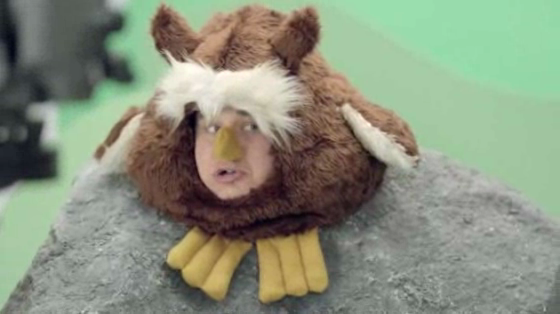 Quickflix: Owl & Tree