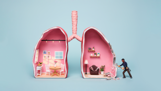 WorkSafeBC: Asbestos: Living Room