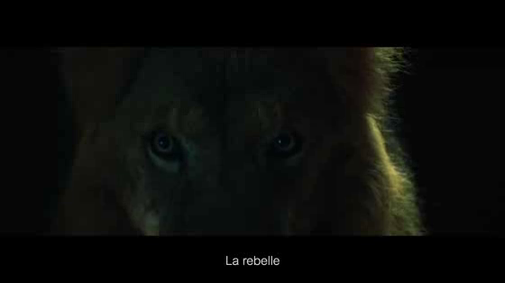 Guinness: Lioness