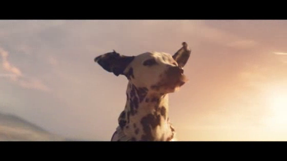 Budweiser: Wind Never Felt Better