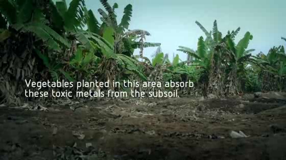 UTEC: Air Orchard