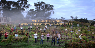 Yalumba: Family Tree