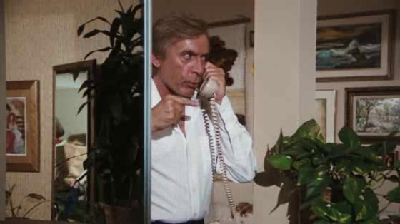 ANZ: CHiPS, Phone Call
