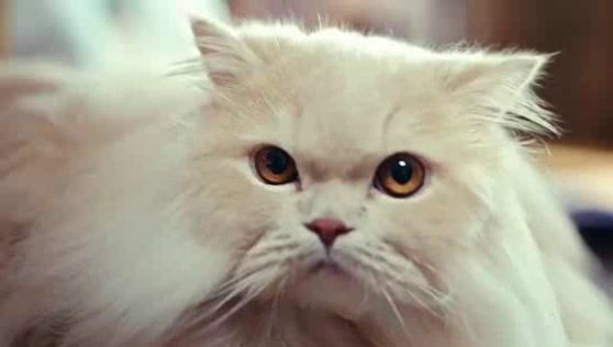 Deliveroo: Consequences Are Always More Severe Than You Expect