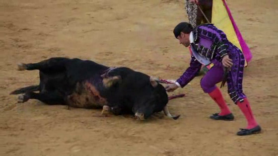 Federation of Leagues Against Corridas: Do You Think This Practice Belongs To Another Age?