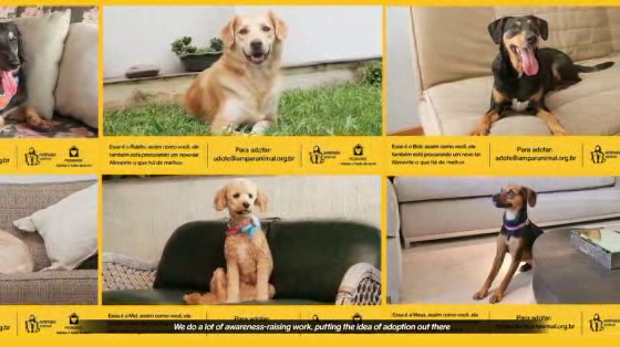 Pedigree: Find A New Friend