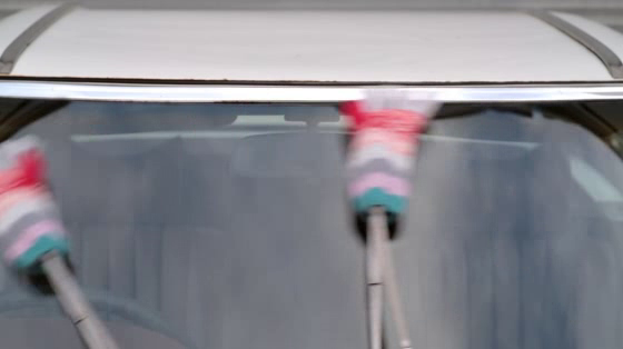 Gap: Windshield Gloves