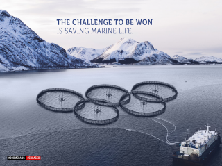 Great Cause: The challenge to win is saving marine life