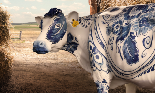 Nutristar TMR: Porcelain