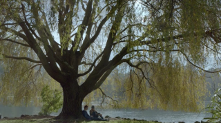 AMI Insurance: Humanness