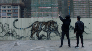 Tiger Beer: 3890 Project