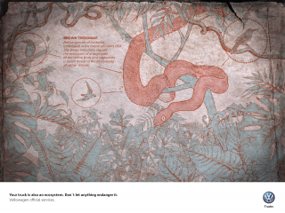 VOLKSWAGEN ARGENTINA: Ecosystems