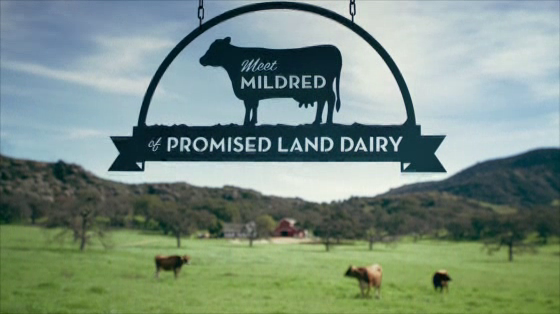 Promised Land Dairy: Vegan