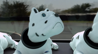 Goodyear Efficientgrip Performance: Dog 