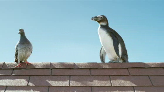 GoDaddy: Share Your Gift - Roofer