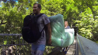 Tropical North Queensland: 1 Day in Paradise with the Forest Floor Lounge. Matty Roberts.