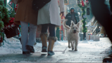 Travelers Insurance: New Bone