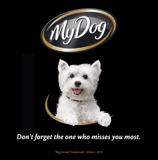 My Dog: The one who misses you most