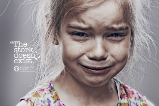 Fundacion Repro: Disillusionment Stork