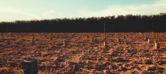 wwf: Nature Is Calling For Help